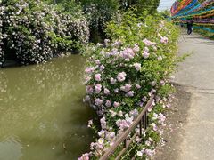 -上海杨姆庄园