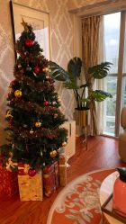 -茜尔维亚修身连锁(闵行莘庄店)