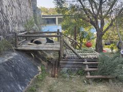 -泉州海丝野生动物世界