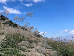 -浙西天池景区