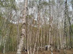 -李记白水羊头·清真老味家常菜(石景山店)