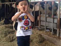 瑞穗牧场-瑞穗牧场
