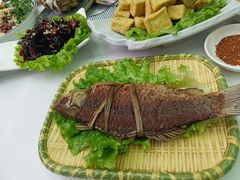 傣味烤罗非鱼-遇见阿家村云南菜(魏公村店)