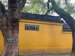 -西园戒幢律寺