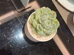 -富力威斯汀酒店-中国元素中餐厅(武昌临江店)