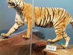 -长江文明馆