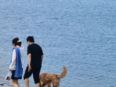 -巧克力渔家.小船海鲜家常菜(万平口店)