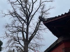 -金堂县云顶石城风景区
