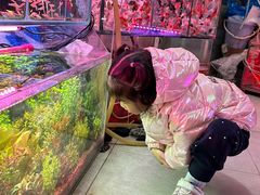 -曲阳花鸟市场(曲阳路店)