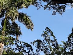 -海南热带野生动植物园