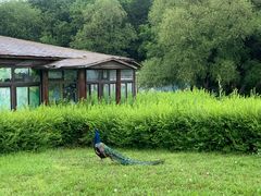 -沈阳森林动物园