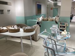 -怪兽屋·羊驼·猫咖·狗咖(俊华广场店)