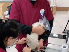 -美联众合动物医院·24h京西诊疗中心