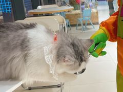 -怪兽屋·羊驼·猫咖·狗咖(俊华广场店)