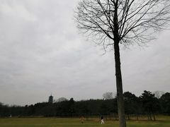 -宜兴龙背山森林公园