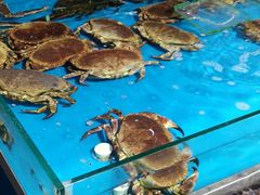 -济南海鲜大市场