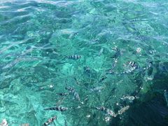 -蓝湾海滩
