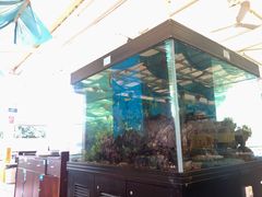 -御唐府海珊瑚主题餐厅