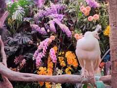 -正佳雨林生态植物园