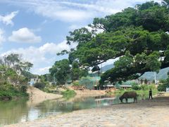 -八婆婆烧仙草(中山路店)