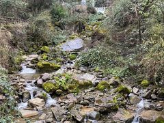 -鹿院坪生态旅游景区
