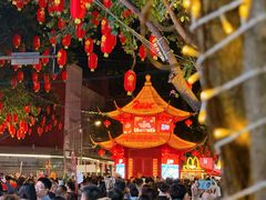 -越秀西湖花市(广州城市广场花卉店)