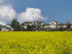 -中国天府农业博览园