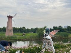 -三垟湿地