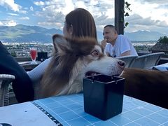-丽江古城第一观景台