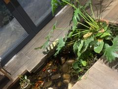 -邈墨茶馆(大兜路1号店)