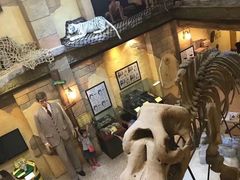 -信不信由你博物馆