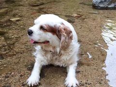 -碓臼峪自然风景区