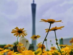 -二沙岛艺术公园