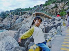 -广东惠东海龟国家级自然保护区