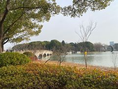 -昆山城市生态森林公园