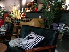 -咖法森林·咖啡  酒吧(天河店)