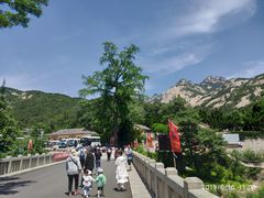 -无染寺