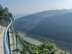 -铁山坪森林公园