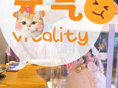 -糕小爱·动物奶油生日蛋糕定制(合肥总店)