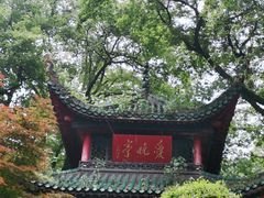 -茶颜悦色(岳麓山顶店)