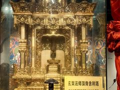 -灵谷景区
