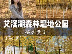 -艾溪湖湿地公园