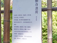 -上海醉白池公园