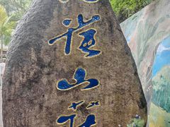 -西双版纳原始森林公园