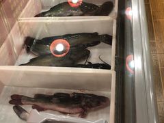 -王老六铁锅炖鱼(华阳路店)