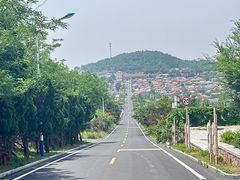 -蓬莱阁景区