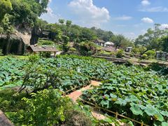 -广州莲花山旅游区