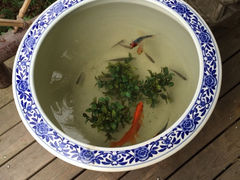 iphone_upload_pic-和茶馆(西溪栖悦城店)