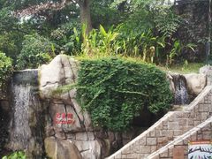 -九龙公园