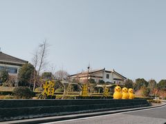 -苏州湾·王焰温泉